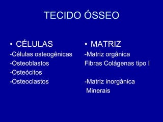 TECIDO ÓSSEO

• CÉLULAS               • MATRIZ
-Células osteogênicas   -Matriz orgânica
-Osteoblastos           Fibras Colágenas tipo I
-Osteócitos
-Osteoclastos           -Matriz inorgânica
                         Minerais
 