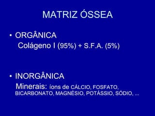 MATRIZ ÓSSEA

• ORGÂNICA
  Colágeno I (95%) + S.F.A. (5%)


• INORGÂNICA
  Minerais: íons de CÁLCIO, FOSFATO,
 BICARBONATO, MAGNÉSIO, POTÁSSIO, SÓDIO, ...
 