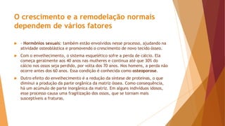 O crescimento e a remodelação normais
dependem de vários fatores
 - Hormônios sexuais: também estão envolvidos nesse processo, ajudando na
atividade osteoblástica e promovendo o crescimento de novo tecido ósseo.
 Com o envelhecimento, o sistema esquelético sofre a perda de cálcio. Ela
começa geralmente aos 40 anos nas mulheres e continua até que 30% do
cálcio nos ossos seja perdido, por volta dos 70 anos. Nos homens, a perda não
ocorre antes dos 60 anos. Essa condição é conhecida como osteoporose.
 Outro efeito do envelhecimento é a redução da síntese de proteínas, o que
diminui a produção da parte orgânica da matriz óssea. Como consequência,
há um acúmulo de parte inorgânica da matriz. Em alguns indivíduos idosos,
esse processo causa uma fragilização dos ossos, que se tornam mais
susceptíveis a fraturas.
 