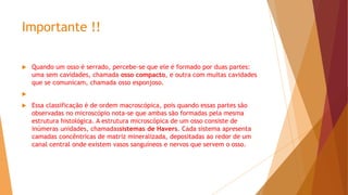 Importante !!
 Quando um osso é serrado, percebe-se que ele é formado por duas partes:
uma sem cavidades, chamada osso compacto, e outra com muitas cavidades
que se comunicam, chamada osso esponjoso.

 Essa classificação é de ordem macroscópica, pois quando essas partes são
observadas no microscópio nota-se que ambas são formadas pela mesma
estrutura histológica. A estrutura microscópica de um osso consiste de
inúmeras unidades, chamadassistemas de Havers. Cada sistema apresenta
camadas concêntricas de matriz mineralizada, depositadas ao redor de um
canal central onde existem vasos sanguíneos e nervos que servem o osso.
 
