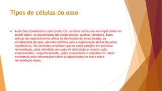 Tipos de células do osso
 Além dos osteoblastos e dos osteócitos, existem outras células importantes no
tecido ósseo: os osteoclástos (do grego klastos, quebrar, destruir). Essas
células são especialmente ativas na destruição de áreas lesadas ou
envelhecidas do osso, abrindo caminho para a regeneração do tecido pelos
osteoblastos. Os cientistas acreditam que os ossos estejam em contínua
remodelação, pela atividade conjunta de destruição e reconstrução
empreendidas, respectivamente, pelos osteoclastos e osteoblastos. Você
encontrará mais informações sobre os osteoclastos no texto sobre
remodelação óssea.
 