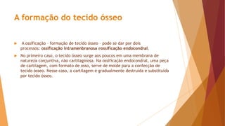 A formação do tecido ósseo
 A ossificação – formação de tecido ósseo – pode se dar por dois
processos: ossificação intramenbranosa eossificação endocondral.
 No primeiro caso, o tecido ósseo surge aos poucos em uma membrana de
natureza conjuntiva, não cartilaginosa. Na ossificação endocondral, uma peça
de cartilagem, com formato de osso, serve de molde para a confecção de
tecido ósseo. Nesse caso, a cartilagem é gradualmente destruída e substituída
por tecido ósseo.
 