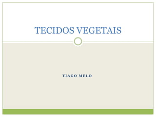 TIAGO MELO TECIDOS VEGETAIS 