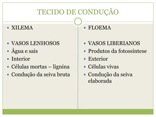 TECIDO DE CONDUÇÃOXILEMAVASOS LENHOSOSÁgua e sais InteriorCélulas mortas – ligninaCondução da seiva bruta FLOEMAVASOS LIBERIANOSProdutos da fotossíntese ExteriorCélulas vivasCondução da seiva elaborada