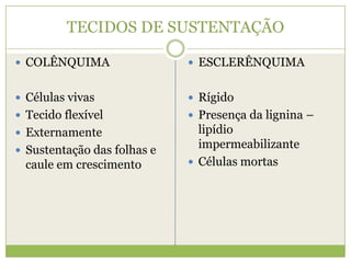 TECIDOS DE SUSTENTAÇÃOCOLÊNQUIMACélulas vivasTecido flexívelExternamenteSustentação das folhas e caule em crescimentoESCLERÊNQUIMARígidoPresença da lignina – lipídio impermeabilizante Células mortas