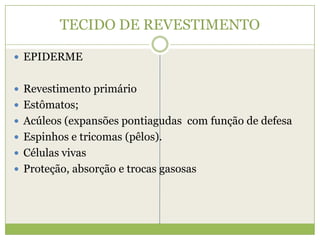 TECIDO DE REVESTIMENTO EPIDERMERevestimento primárioEstômatos;Acúleos (expansões pontiagudas  com função de defesaEspinhos e tricomas (pêlos).Células vivasProteção, absorção e trocas gasosas