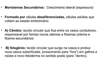 • Meristemas Secundários: Crescimento lateral (espessura)

• Formado por células desdiferenciadas, células adultas que
  voltam ao estado embrionário:

• A) Câmbio: tecido circular que fica entre os vasos condutores,
  responsável por formar novos xilemas e floemas (xilema e
  floema secundários:

•    B) felogênio: tecido circular que surge na casca e produz
    nova casca suberificada, (crescimento para “fora”) em galhos e
    raízes e novo feloderma no sentido posto (para “dentro).
 