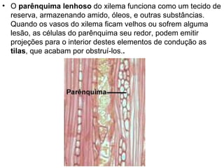 • O parênquima lenhoso do xilema funciona como um tecido de
  reserva, armazenando amido, óleos, e outras substâncias.
  Quando os vasos do xilema ficam velhos ou sofrem alguma
  lesão, as células do parênquima seu redor, podem emitir
  projeções para o interior destes elementos de condução as
  tilas, que acabam por obstruí-los..
 
