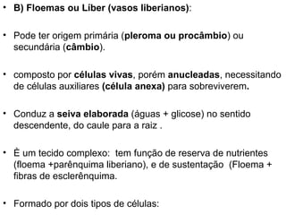 • B) Floemas ou Líber (vasos liberianos):

• Pode ter origem primária (pleroma ou procâmbio) ou
  secundária (câmbio).

• composto por células vivas, porém anucleadas, necessitando
  de células auxiliares (célula anexa) para sobreviverem.

• Conduz a seiva elaborada (águas + glicose) no sentido
  descendente, do caule para a raiz .

• È um tecido complexo: tem função de reserva de nutrientes
  (floema +parênquima liberiano), e de sustentação (Floema +
  fibras de esclerênquima.

• Formado por dois tipos de células:
 