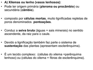 • A) Xilemas ou lenho (vasos lenhosos):
• Pode ter origem primária (pleroma ou procâmbio) ou
  secundária (câmbio).

• composto por células mortas, muito lignificadas repletas de
  poros denominados pontoações.

• Conduz a seiva bruta (águas + sais minerais) no sentido
  ascendente, da raiz para o caule.

• Devido a lignificação também faz parte o sistema de
  sustentação das plantas (apresentam esclerênquima).

• È um tecido complexo: (células do xilema +parênquima
  lenhoso) ou (células do xilema + fibras de esclerênquima).
 