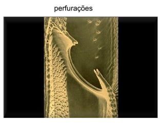 perfurações
 