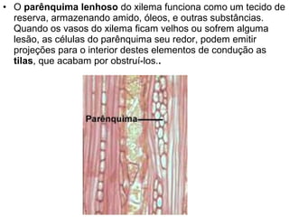 • O parênquima lenhoso do xilema funciona como um tecido de
  reserva, armazenando amido, óleos, e outras substâncias.
  Quando os vasos do xilema ficam velhos ou sofrem alguma
  lesão, as células do parênquima seu redor, podem emitir
  projeções para o interior destes elementos de condução as
  tilas, que acabam por obstruí-los..
 