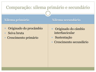 Xilema primário Xilema secundário
 Originado do procâmbio
 Seiva bruta
 Crescimento primário
 Originado do câmbio
interfascicular
 Sustentação
 Crescimento secundário
Comparação: xilema primário e secundário
 