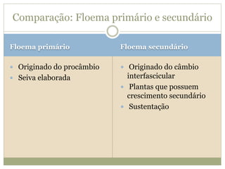 Floema primário Floema secundário
 Originado do procâmbio
 Seiva elaborada
 Originado do câmbio
interfascicular
 Plantas que possuem
crescimento secundário
 Sustentação
Comparação: Floema primário e secundário
 