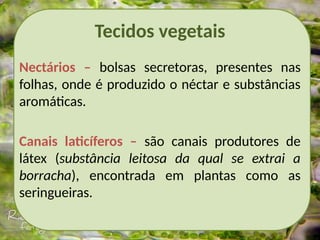 Tecidos vegetais
Nectários – bolsas secretoras, presentes nas
folhas, onde é produzido o néctar e substâncias
aromáticas.
Canais laticíferos – são canais produtores de
látex (substância leitosa da qual se extrai a
borracha), encontrada em plantas como as
seringueiras.
 