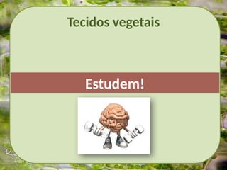 Tecidos vegetais
Estudem!
 