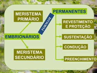 EMBRIONÁRIOS
MERISTEMA
PRIMÁRIO
MERISTEMA
SECUNDÁRIO
PERMANENTES
REVESTIMENTO
E PROTEÇÃO
SUSTENTAÇÃO
CONDUÇÃO
PREENCHIMENTO
F
O
R
M
A
M
 