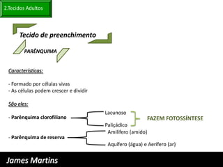 2.Tecidos Adultos



      Tecido de preenchimento

        PARÊNQUIMA


 Características:

 - Formado por células vivas
 - As células podem crescer e dividir

 São eles:
                                        Lacunoso
 - Parênquima clorofiliano                                FAZEM FOTOSSÍNTESE
                                        Paliçádico
                                         Amilífero (amido)
 - Parênquima de reserva
                                         Aquífero (água) e Aerífero (ar)


 James Martins
 