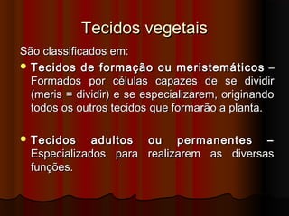Tecidos vegetaisTecidos vegetais
São classificados em:São classificados em:
 Tecidos de formação ou meristemáticosTecidos de formação ou meristemáticos ––
Formados por células capazes de se dividirFormados por células capazes de se dividir
(meris = dividir) e se especializarem, originando(meris = dividir) e se especializarem, originando
todos os outros tecidos que formarão a planta.todos os outros tecidos que formarão a planta.
 Tecidos adultos ou permanentes –Tecidos adultos ou permanentes –
Especializados para realizarem as diversasEspecializados para realizarem as diversas
funções.funções.
 