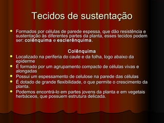 Tecidos de sustentaçãoTecidos de sustentação
 Formados por células de parede espessa, que dão resistência eFormados por células de parede espessa, que dão resistência e
sustentação às diferentes partes da planta, esses tecidos podemsustentação às diferentes partes da planta, esses tecidos podem
ser:ser: colênquimacolênquima ee esclerênquimaesclerênquima ..
ColênquimaColênquima
 Localizado na periferia do caule e da folha, logo abaixo daLocalizado na periferia do caule e da folha, logo abaixo da
epidermeepiderme
 É formado por um agrupamento compacto de células vivas eÉ formado por um agrupamento compacto de células vivas e
alongadasalongadas
 Possui um espessamento de celulose na parede das célulasPossui um espessamento de celulose na parede das células
 É dotado de grande flexibilidade, o que permite o crescimento daÉ dotado de grande flexibilidade, o que permite o crescimento da
planta.planta.
 Podemos encontrá-lo em partes jovens da planta e em vegetaisPodemos encontrá-lo em partes jovens da planta e em vegetais
herbáceos, que possuem estrutura delicada.herbáceos, que possuem estrutura delicada.
 
