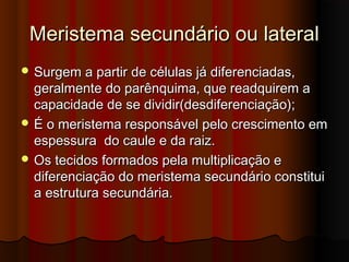 Meristema secundário ou lateralMeristema secundário ou lateral
 Surgem a partir de células já diferenciadas,Surgem a partir de células já diferenciadas,
geralmente do parênquima, que readquirem ageralmente do parênquima, que readquirem a
capacidade de se dividir(desdiferenciação);capacidade de se dividir(desdiferenciação);
 É o meristema responsável pelo crescimento emÉ o meristema responsável pelo crescimento em
espessura do caule e da raiz.espessura do caule e da raiz.
 Os tecidos formados pela multiplicação eOs tecidos formados pela multiplicação e
diferenciação do meristema secundário constituidiferenciação do meristema secundário constitui
a estrutura secundária.a estrutura secundária.
 