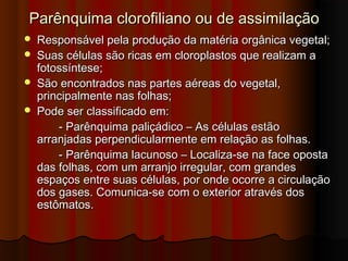 Parênquima clorofiliano ou de assimilaçãoParênquima clorofiliano ou de assimilação
 Responsável pela produção da matéria orgânica vegetal;Responsável pela produção da matéria orgânica vegetal;
 Suas células são ricas em cloroplastos que realizam aSuas células são ricas em cloroplastos que realizam a
fotossíntese;fotossíntese;
 São encontrados nas partes aéreas do vegetal,São encontrados nas partes aéreas do vegetal,
principalmente nas folhas;principalmente nas folhas;
 Pode ser classificado em:Pode ser classificado em:
- Parênquima paliçádico – As células estão- Parênquima paliçádico – As células estão
arranjadas perpendicularmente em relação as folhas.arranjadas perpendicularmente em relação as folhas.
- Parênquima lacunoso – Localiza-se na face oposta- Parênquima lacunoso – Localiza-se na face oposta
das folhas, com um arranjo irregular, com grandesdas folhas, com um arranjo irregular, com grandes
espaços entre suas células, por onde ocorre a circulaçãoespaços entre suas células, por onde ocorre a circulação
dos gases. Comunica-se com o exterior através dosdos gases. Comunica-se com o exterior através dos
estômatos.estômatos.
 