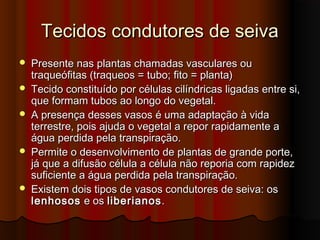 Tecidos condutores de seivaTecidos condutores de seiva
 Presente nas plantas chamadas vasculares ouPresente nas plantas chamadas vasculares ou
traqueófitas (traqueos = tubo; fito = planta)traqueófitas (traqueos = tubo; fito = planta)
 Tecido constituído por células cilíndricas ligadas entre si,Tecido constituído por células cilíndricas ligadas entre si,
que formam tubos ao longo do vegetal.que formam tubos ao longo do vegetal.
 A presença desses vasos é uma adaptação à vidaA presença desses vasos é uma adaptação à vida
terrestre, pois ajuda o vegetal a repor rapidamente aterrestre, pois ajuda o vegetal a repor rapidamente a
água perdida pela transpiração.água perdida pela transpiração.
 Permite o desenvolvimento de plantas de grande porte,Permite o desenvolvimento de plantas de grande porte,
já que a difusão célula a célula não reporia com rapidezjá que a difusão célula a célula não reporia com rapidez
suficiente a água perdida pela transpiração.suficiente a água perdida pela transpiração.
 Existem dois tipos de vasos condutores de seiva: osExistem dois tipos de vasos condutores de seiva: os
lenhososlenhosos e ose os liberianosliberianos..
 