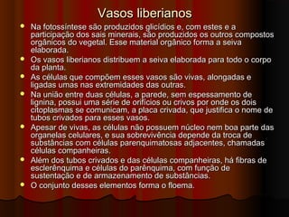 Vasos liberianosVasos liberianos
 Na fotossíntese são produzidos glicídios e, com estes e aNa fotossíntese são produzidos glicídios e, com estes e a
participação dos sais minerais, são produzidos os outros compostosparticipação dos sais minerais, são produzidos os outros compostos
orgânicos do vegetal. Esse material orgânico forma a seivaorgânicos do vegetal. Esse material orgânico forma a seiva
elaborada.elaborada.
 Os vasos liberianos distribuem a seiva elaborada para todo o corpoOs vasos liberianos distribuem a seiva elaborada para todo o corpo
da planta.da planta.
 As células que compõem esses vasos são vivas, alongadas eAs células que compõem esses vasos são vivas, alongadas e
ligadas umas nas extremidades das outras.ligadas umas nas extremidades das outras.
 Na união entre duas células, a parede, sem espessamento deNa união entre duas células, a parede, sem espessamento de
lignina, possui uma série de orifícios ou crivos por onde os doislignina, possui uma série de orifícios ou crivos por onde os dois
citoplasmas se comunicam, a placa crivada, que justifica o nome decitoplasmas se comunicam, a placa crivada, que justifica o nome de
tubos crivados para esses vasos.tubos crivados para esses vasos.
 Apesar de vivas, as células não possuem núcleo nem boa parte dasApesar de vivas, as células não possuem núcleo nem boa parte das
organelas celulares, e sua sobrevivência depende da troca deorganelas celulares, e sua sobrevivência depende da troca de
substâncias com células parenquimatosas adjacentes, chamadassubstâncias com células parenquimatosas adjacentes, chamadas
células companheiras.células companheiras.
 Além dos tubos crivados e das células companheiras, há fibras deAlém dos tubos crivados e das células companheiras, há fibras de
esclerênquima e células do parênquima, com função deesclerênquima e células do parênquima, com função de
sustentação e de armazenamento de substâncias.sustentação e de armazenamento de substâncias.
 O conjunto desses elementos forma o floema.O conjunto desses elementos forma o floema.
 