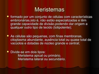 MeristemasMeristemas
 formado por um conjunto de células com característicasformado por um conjunto de células com características
embrionárias,isto é, não estão especializadas e têmembrionárias,isto é, não estão especializadas e têm
grande capacidade de divisão,podendo dar origem agrande capacidade de divisão,podendo dar origem a
qualquer outro tipo de tecidoqualquer outro tipo de tecido (totipotente);(totipotente);
 As células são pequenas, com finas membranas,As células são pequenas, com finas membranas,
citoplasma abundante, ausência total ou quase total decitoplasma abundante, ausência total ou quase total de
vacúolos e dotadas de núcleo grande e central;vacúolos e dotadas de núcleo grande e central;
 Divide-se em dois tipos:Divide-se em dois tipos:
Meristema apical ou primário.Meristema apical ou primário.
Meristema lateral ou secundário.Meristema lateral ou secundário.
 