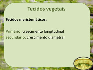 Tecidos vegetais
Tecidos meristemáticos:
Primário: crescimento longitudinal
Secundário: crescimento diametral
 