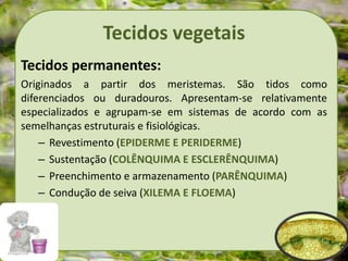 Tecidos vegetais
Tecidos permanentes:
Originados a partir dos meristemas. São tidos como
diferenciados ou duradouros. Apresentam-se relativamente
especializados e agrupam-se em sistemas de acordo com as
semelhanças estruturais e fisiológicas.
– Revestimento (EPIDERME E PERIDERME)
– Sustentação (COLÊNQUIMA E ESCLERÊNQUIMA)
– Preenchimento e armazenamento (PARÊNQUIMA)
– Condução de seiva (XILEMA E FLOEMA)
 