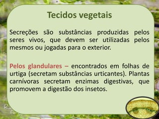 Tecidos vegetais
Secreções são substâncias produzidas pelos
seres vivos, que devem ser utilizadas pelos
mesmos ou jogadas para o exterior.
Pelos glandulares – encontrados em folhas de
urtiga (secretam substâncias urticantes). Plantas
carnívoras secretam enzimas digestivas, que
promovem a digestão dos insetos.
 
