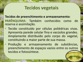 Tecidos vegetais
Tecidos de preenchimento e armazenamento:
PARÊNQUIMA: Também conhecidos como de
reserva e assimilação.
• Tecido constituído por células poliédricas vivas.
Apresenta parede celular fina e vacúolos grandes.
Amplamente distribuído pelo corpo do vegetal,
constituindo a maior parte de sua massa.
• Produção e armazenamento de substâncias,
preenchimento de espaços vazios entre os outros
tecidos e fotossíntese.
 