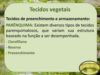 Tecidos vegetais
Tecidos de preenchimento e armazenamento:
PARÊNQUIMA: Existem diversos tipos de tecidos
parenquimatosos, que variam sua estrutura
baseado na função a ser desempenhada.
- Clorofiliano
- Reserva
- Preeenchimento
 