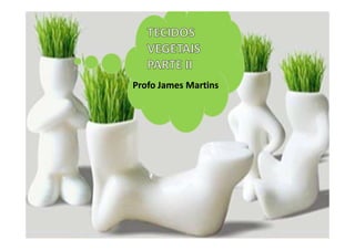 Profo James Martins
 