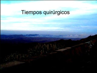 Tiempos quirúrgicos 