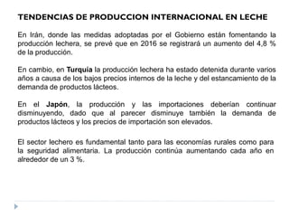 En Irán, donde las medidas adoptadas por el Gobierno están fomentando la
producción lechera, se prevé que en 2016 se registrará un aumento del 4,8 %
de la producción.
En cambio, en Turquía la producción lechera ha estado detenida durante varios
años a causa de los bajos precios internos de la leche y del estancamiento de la
demanda de productos lácteos.
En el Japón, la producción y las importaciones deberían continuar
disminuyendo, dado que al parecer disminuye también la demanda de
productos lácteos y los precios de importación son elevados.
TENDENCIAS DE PRODUCCION INTERNACIONAL EN LECHE
El sector lechero es fundamental tanto para las economías rurales como para
la seguridad alimentaria. La producción continúa aumentando cada año en
alrededor de un 3 %.
 