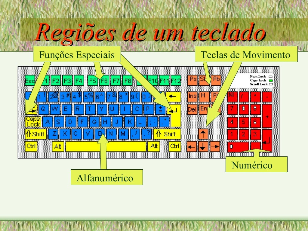 Partes do Teclado