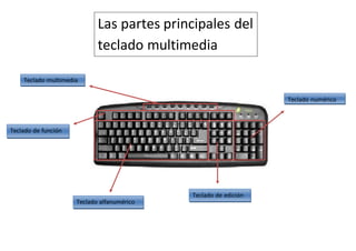 Las partes principales del
teclado multimedia
Teclado multimedia
Teclado de función
Teclado numérico
Teclado alfanumérico
Teclado de edición
 