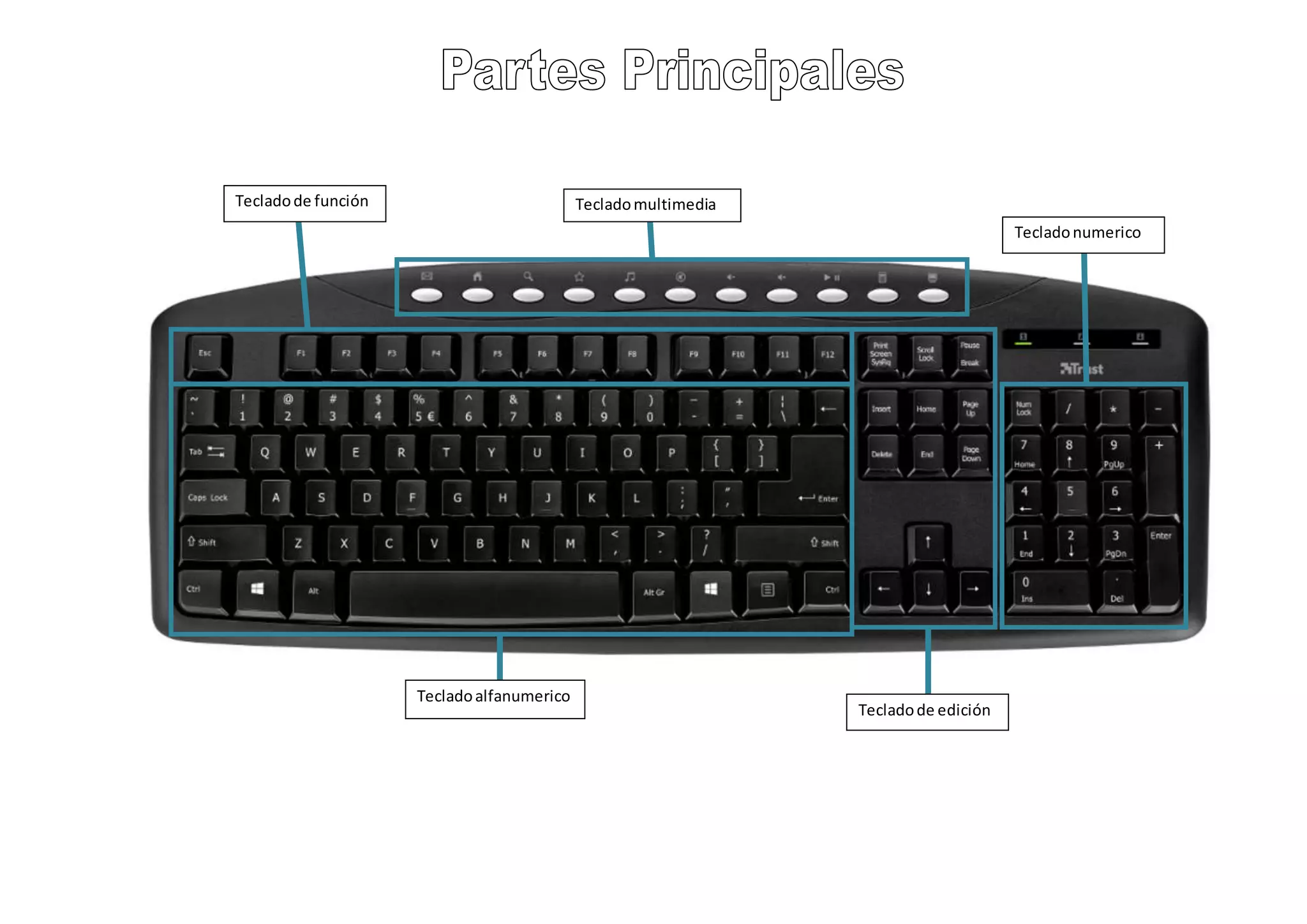 TecladomultimediaTecladode función
Tecladode edición
Tecladonumerico
Tecladoalfanumerico