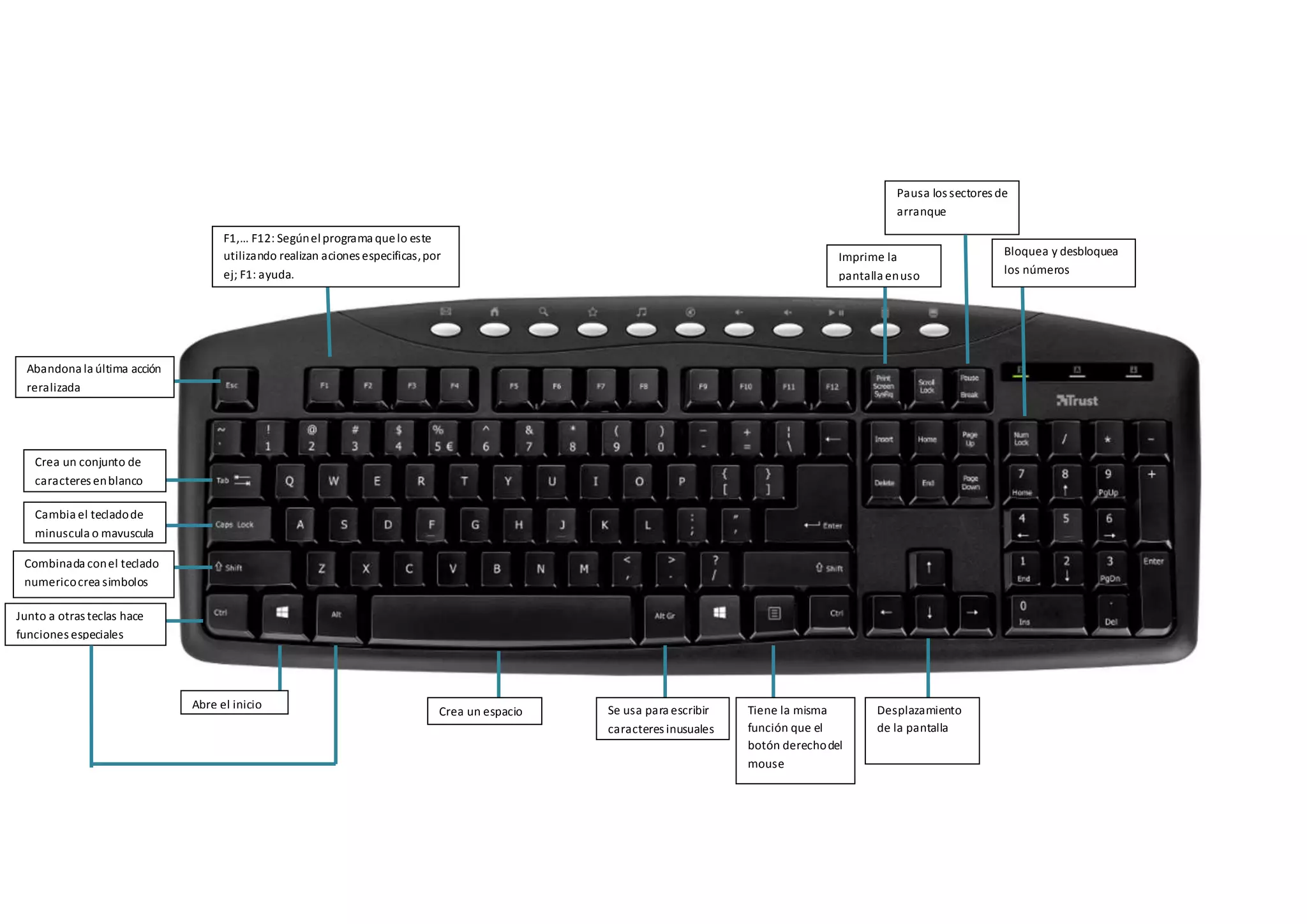 F1,… F12: Segúnelprograma quelo este
utilizando realizan aciones especificas,por
ej; F1: ayuda.
:_
Abandona la última acción
reralizada
Crea un conjunto de
caracteres enblanco
Cambia el tecladode
minuscula o mayuscula
Combinada conel teclado
numericocrea simbolos
Junto a otras teclas hace
funciones especiales
Abre el inicio
Crea un espacio Se usa para escribir
caracteres inusuales
Tiene la misma
función que el
botón derechodel
mouse
Desplazamiento
de la pantalla
Bloquea y desbloquea
los números
Imprime la
pantalla enuso
Pausa los sectores de
arranque