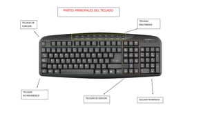 TECLADO
MULTIMEDIA
TECLADO NUMERICO
TECLADO DE EDICION
TECLADO
ALFANUMERICO
TECLADO DE
FUNCION
PARTES PRINCIPALES DEL TECLADO
 