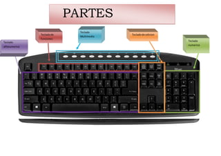 Teclado
Multimedia
Tecladode
funciones
Teclado
alfanumerico
Teclado
numerico
Tecladode edicion
PARTES
PRINCIPALESTeclado
Multimedia
Tecladode
funciones
Teclado
alfanumerico
Teclado
numerico
Tecladode edicion