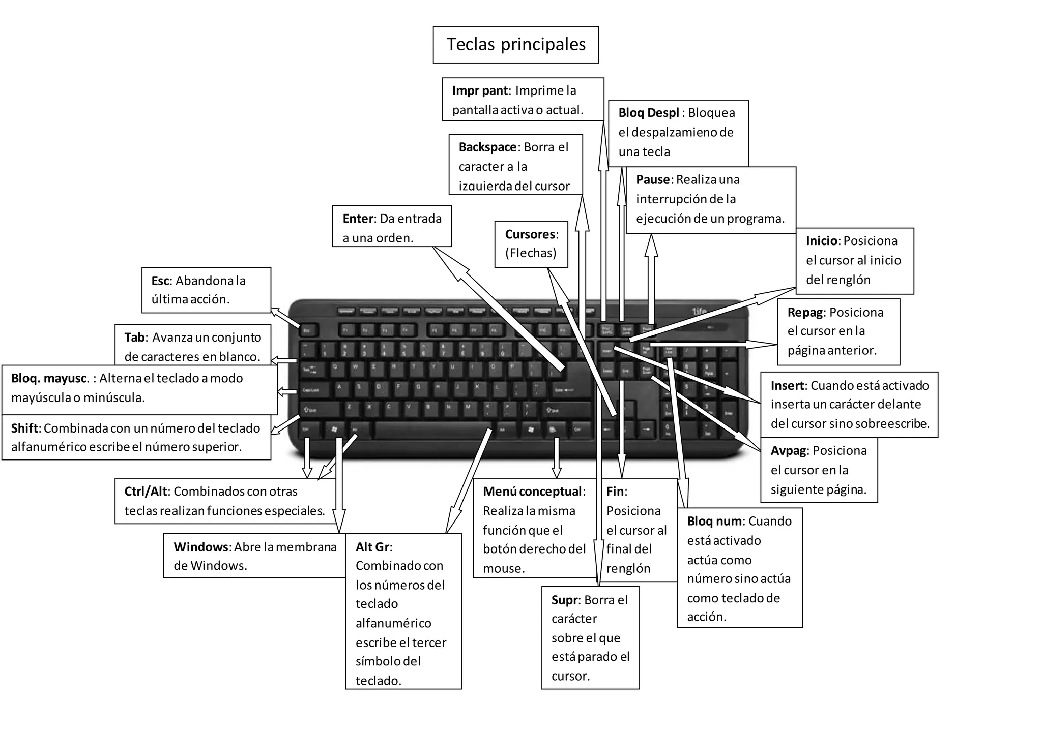 Partes del teclado | DOCX