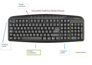 TECLADO PARTES PRINCIPALES
TECLADO
MULTIMEDIA
TECLADO DE
FUNCIÓN
TECLADO
ALFANUMÉRICO
TECLADO DE
EDICIÓN TECLADO NUMÉRIO
 