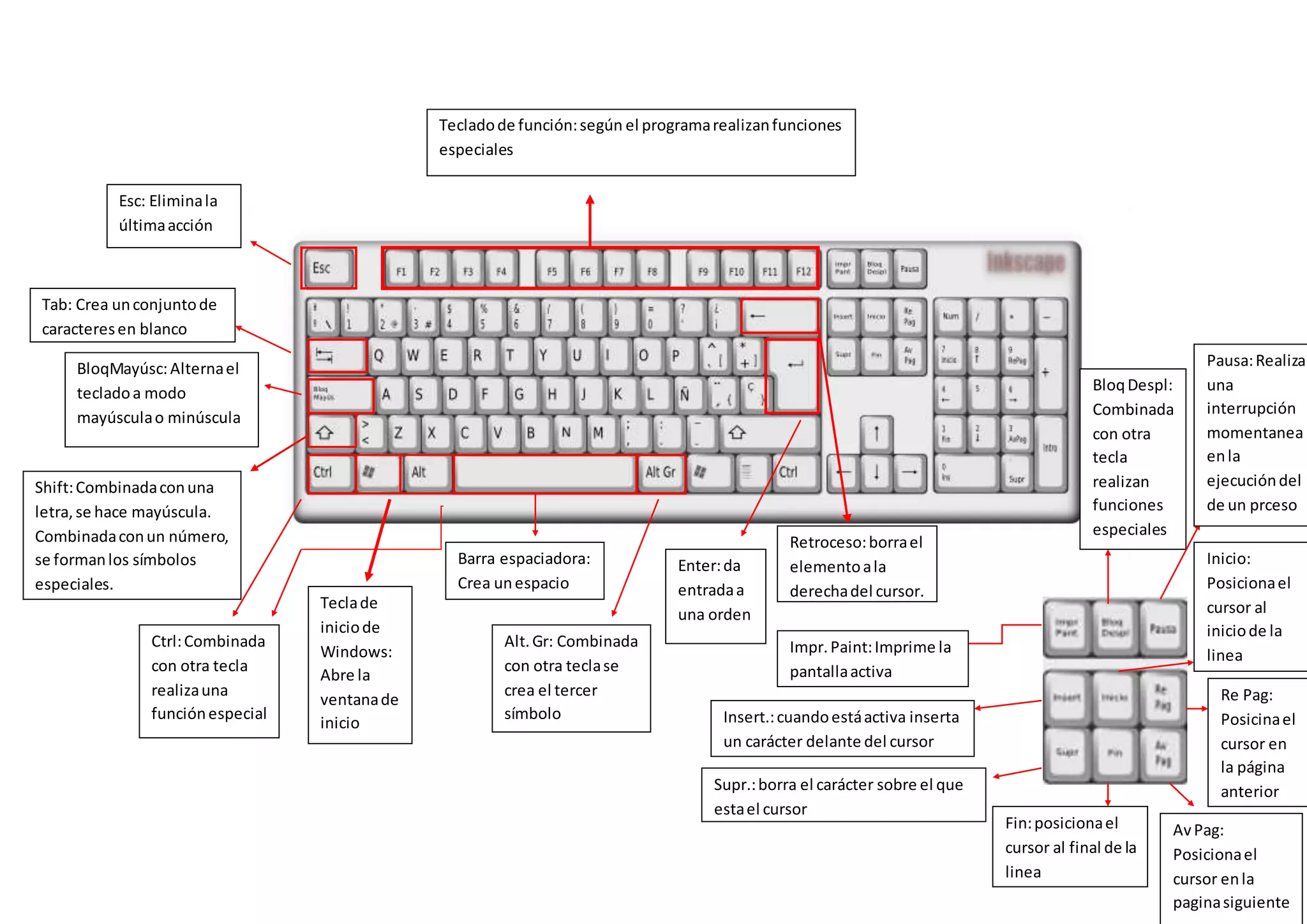 Esc: Eliminala
últimaacción
Tab: Crea unconjuntode
caracteresen blanco
BloqMayúsc:Alternael
tecladoa modo
mayúsculao minúscula
Shift:Combinadaconuna
letra,se hace mayúscula.
Combinadaconun número,
se formanlos símbolos
especiales.
Ctrl:Combinada
con otra tecla
realizauna
funciónespecial
Teclade
iniciode
Windows:
Abre la
ventanade
inicio
Barra espaciadora:
Crea unespacio
Alt.Gr: Combinada
con otra teclase
crea el tercer
símbolo
Enter:da
entradaa
una orden
Retroceso:borrael
elementoala
derechadel cursor.
Tecladode función:según el programarealizanfunciones
especiales
Impr.Paint:Imprime la
pantallaactiva
Insert.:cuandoestáactiva inserta
un carácter delante del cursor
Supr.:borra el carácter sobre el que
estael cursor
Fin:posicionael
cursor al final de la
linea
AvPag:
Posicionael
cursor enla
paginasiguiente
Re Pag:
Posicinael
cursor en
la página
anterior
Inicio:
Posicionael
cursor al
iniciode la
linea
BloqDespl:
Combinada
con otra
tecla
realizan
funciones
especiales
Pausa:Realiza
una
interrupción
momentanea
enla
ejecucióndel
de un prceso