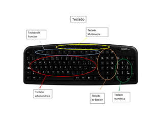 Teclado
Teclado
Alfanumérico Teclado
Numérico
Teclado de
Función
Teclado
de Edición
Teclado
Multimedia
 