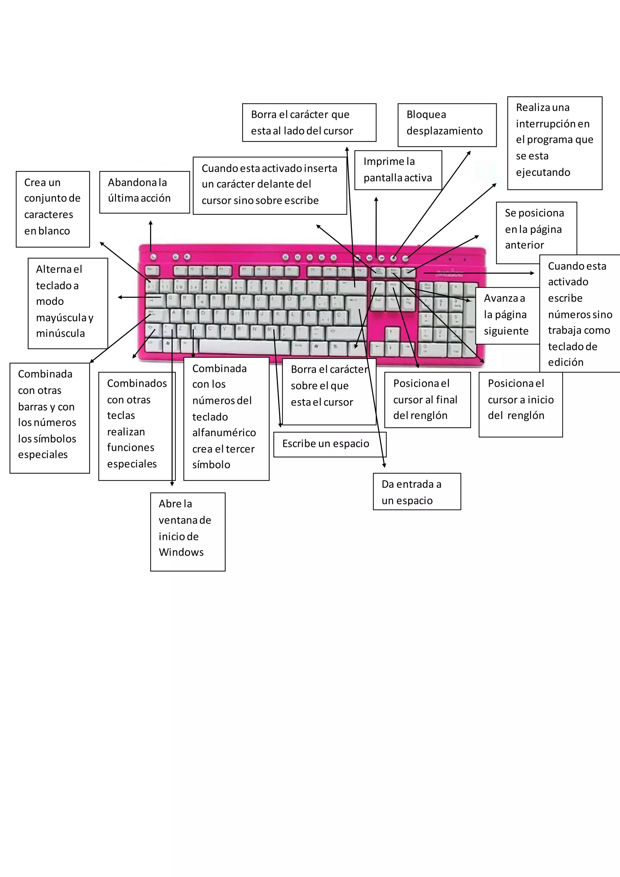 Abandonala
últimaacción
Crea un
conjuntode
caracteres
enblanco
Alternael
tecladoa
modo
mayúsculay
minúscula
Combinada
con otras
barras y con
losnúmeros
lossímbolos
especiales
Combinados
con otras
teclas
realizan
funciones
especiales
Borra el carácter
sobre el que
estael cursor
Posicionael
cursor al final
del renglón
Posicionael
cursor a inicio
del renglón
Realizauna
interrupciónen
el programa que
se esta
ejecutando
Bloquea
desplazamiento
Imprime la
pantallaactiva
Se posiciona
enla página
anterior
Avanzaa
la página
siguiente
Cuandoestaactivadoinserta
un carácter delante del
cursor sinosobre escribe
Cuandoesta
activado
escribe
númerossino
trabaja como
tecladode
edición
Escribe un espacio
Abre la
ventanade
iniciode
Windows
Da entrada a
un espacio
Combinada
con los
númerosdel
teclado
alfanumérico
crea el tercer
símbolo
Borra el carácter que
estaal ladodel cursor