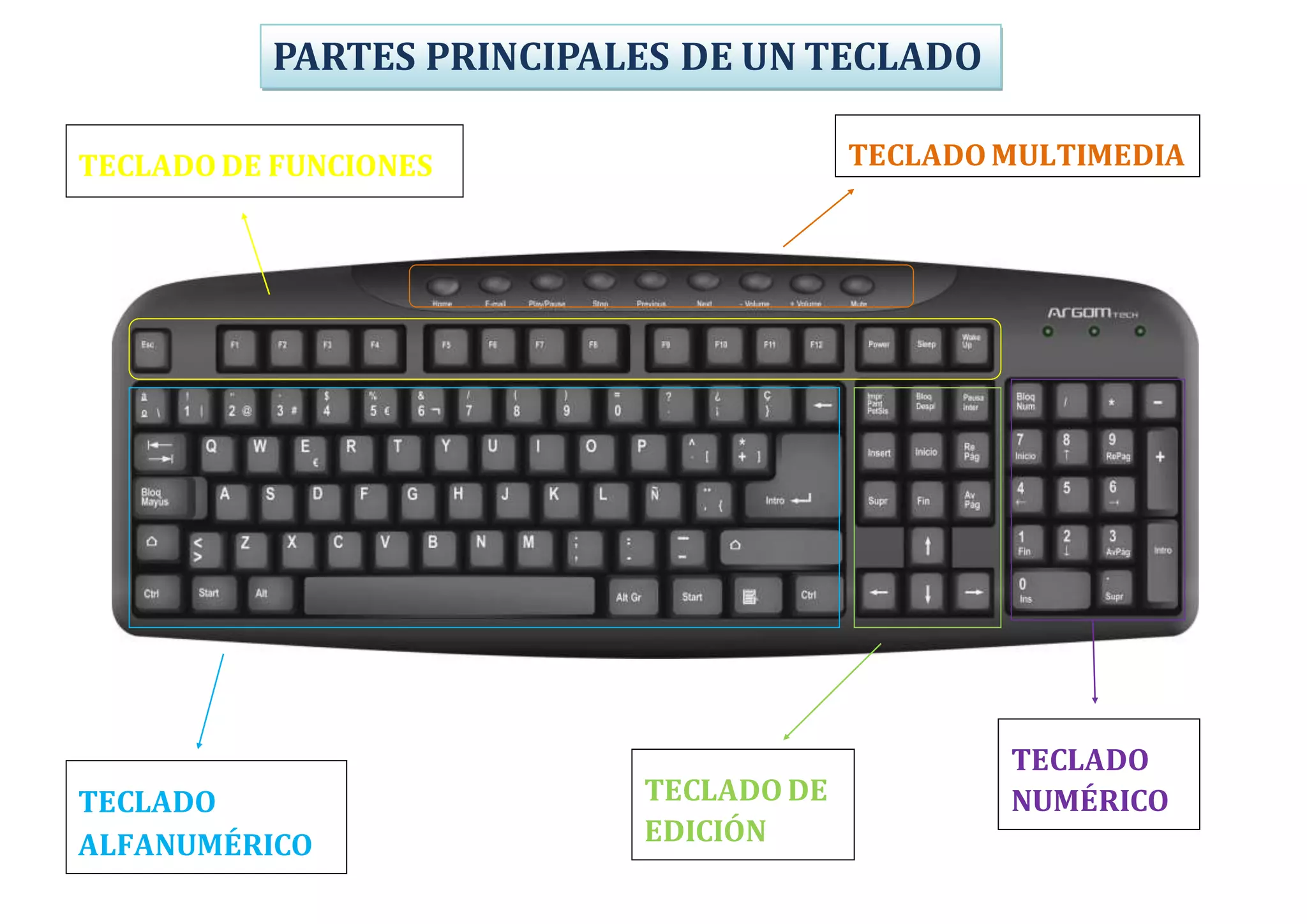 TECLADO MULTIMEDIATECLADO DE FUNCIONES
PARTES PRINCIPALES DE UN TECLADO
TECLADO
ALFANUMÉRICO
TECLADO DE
EDICIÓN
TECLADO
NUMÉRICO