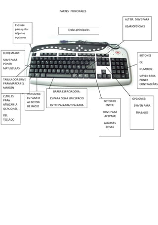 PARTES PRINCIPALES
Teclas principales
Esc: usa
para quitar
Algunas
opciones
BARRA ESPACIADORA:
ES PARA DEJAR UN ESPACIO
ENTRE PALABRA Y PALABRA
CLTRL:ES
PARA
UTILIZAR LA
OCPCIONES
DEL
TECLADO
WINDOWS:
ES PARA IR
AL BOTON
DE INICIO
BOTON DE
ENTER:
SIRVE PARA
ACEPTAR
ALGUNAS
COSAS
OPCIONES:
SIRVEN PARA
TRABAJOS
BOTONES
DE
NUMEROS:
SIRVEN PARA
PONER
CONTRASEÑAS
ALT GR: SIRVEPARA
USAR OPCIONES
BLOQ MAYUS:
SIRVEPARA
PONER
MAYUSCULAS
TABULADOR:SIRVE
PARA MARCAREL
MARGEN